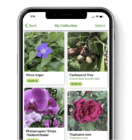 How PlantSnap Uses RFM to Increase Day-30 Retention