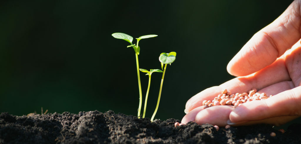 5 ways to power your growth with CRM