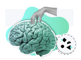 Brand Guidelines - Press Kit