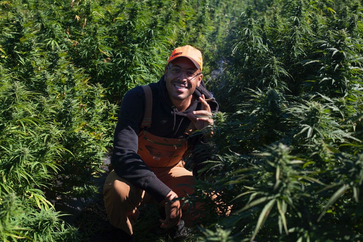 Why Damian Fagon Wants More Black People to Become Cannabis Farmers