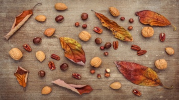 Top 10 marketing agency benefits from marketing automation [Slideshare] • VBOUT