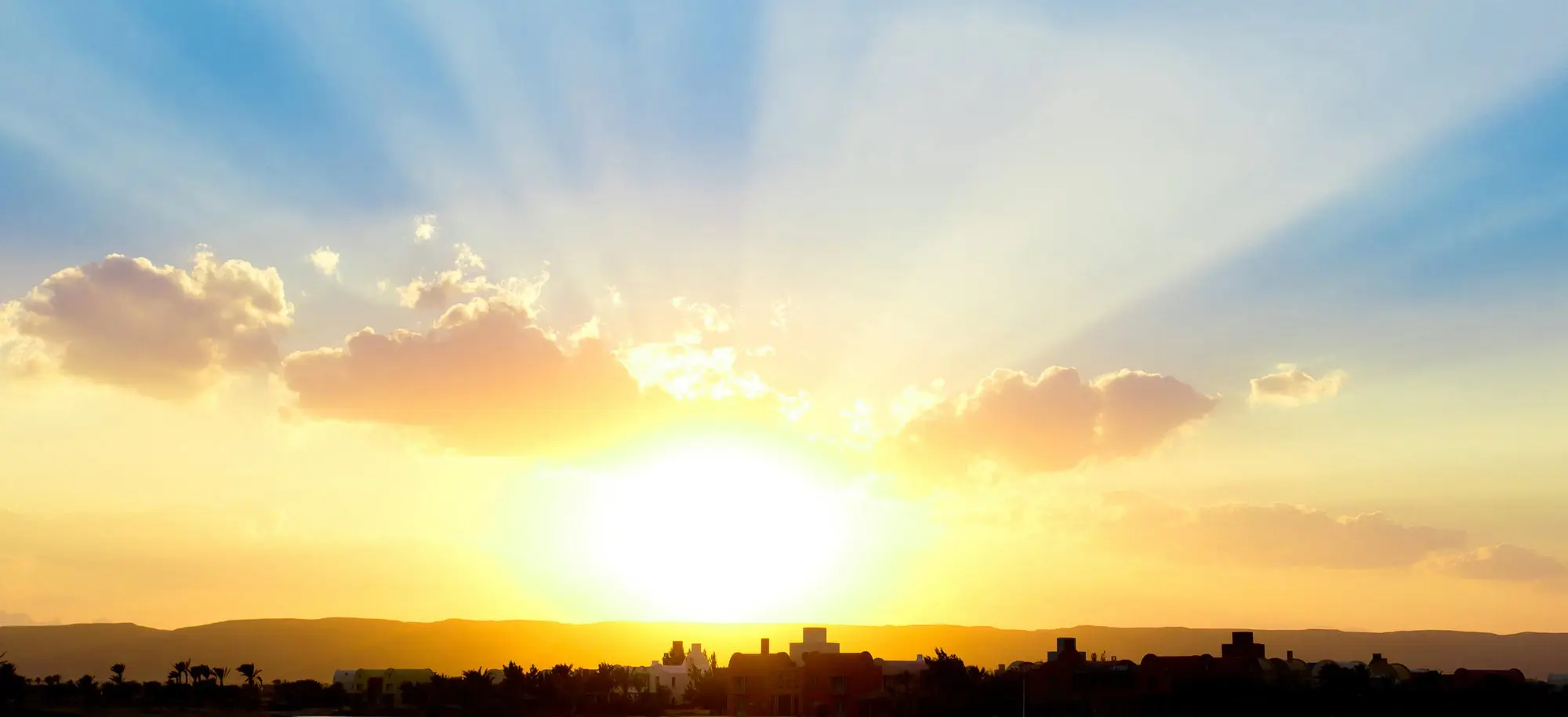 Japan's digital transformation opportunity: When a customer-first culture embraces a digital-first future, amazing things are possible