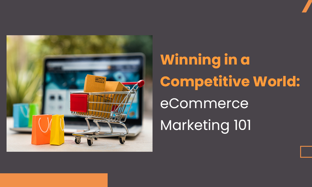Winning in a Competitive World: eCommerce Marketing 101