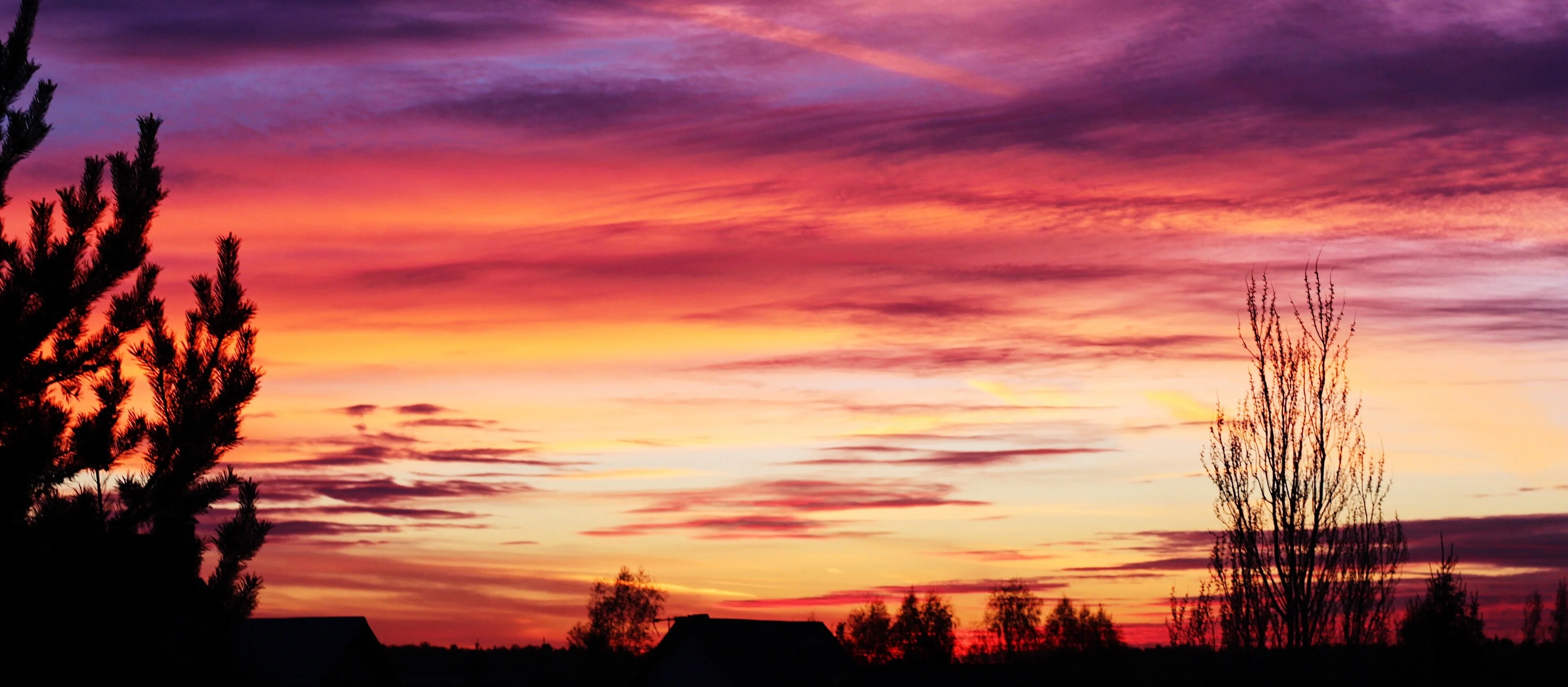 What is Google Analytics 4 and why is it replacing UA?