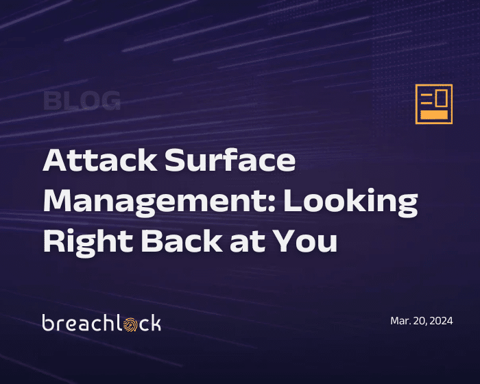 Attack Surface Management: Looking Right Back at You