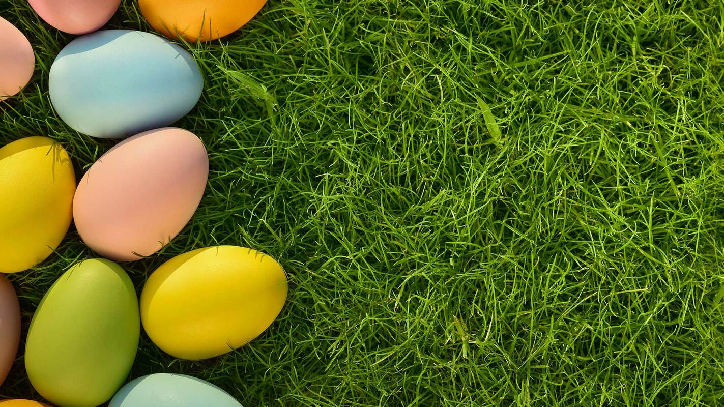 How to Use a Video Resume to Secure a Job