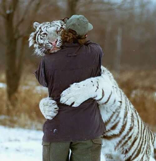 Choose and start with social CRM - it's your nice opportunity