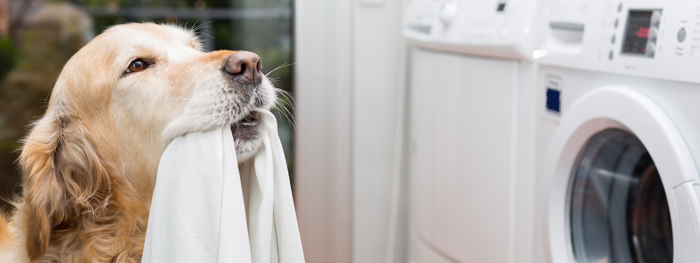 Property management post-COVID-19: The top amenity trends for renters in 2021