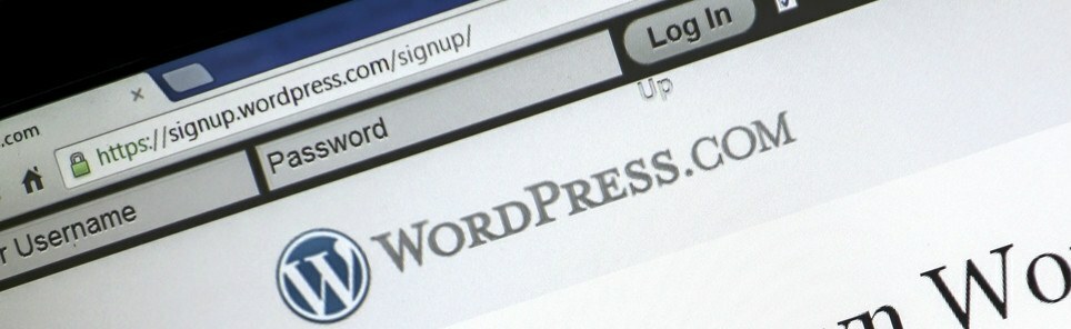 10 Free Blank WordPress Themes | WebFX Blog