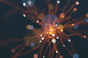 How Publishers Leverage Artificial Intelligence