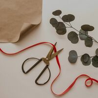 I Run a Six-Figure Business, But Now I Want a Pay Cut