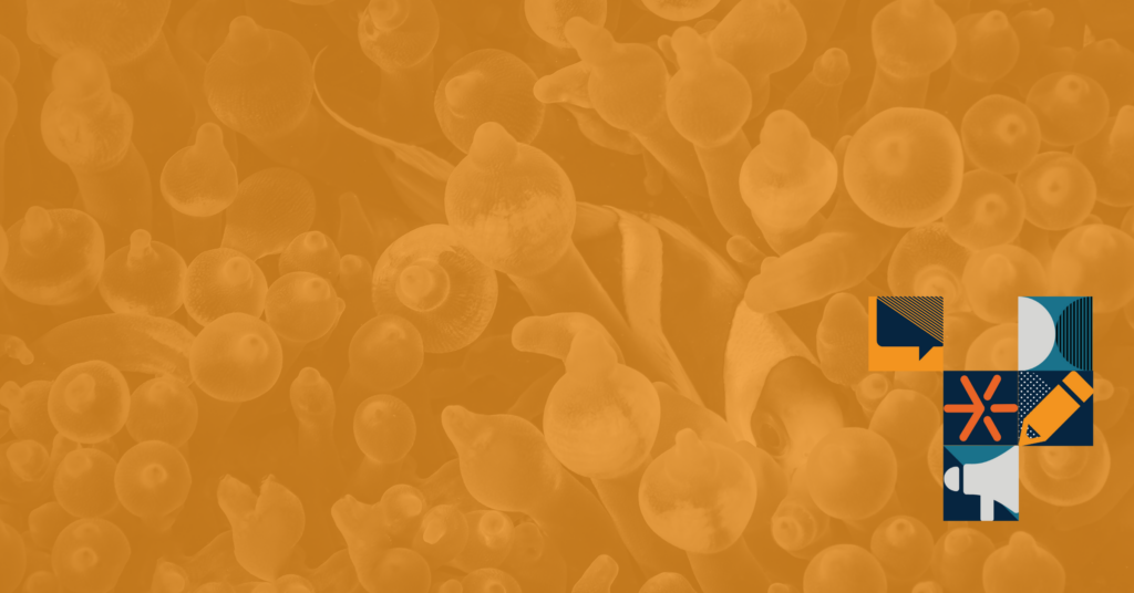 Working with Scribewise: The First 60 Days