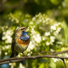 Is Your Online Marketing Strategy All Tweet and No Meat?