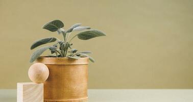 Addressing customer experience from the CIO perspective