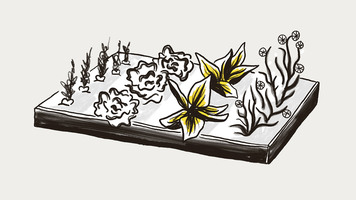 4 Steps to Turn Audience Data into Campaigns That Drive Engagement