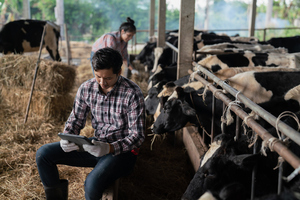 10 AI Tools That Small Businesses Should Use Today