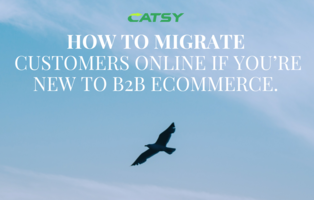 How to Migrate B2B Customers Online - Product Information Management