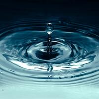 An expert interview featuring Forrester: Why moments are the secret to cross-channel success