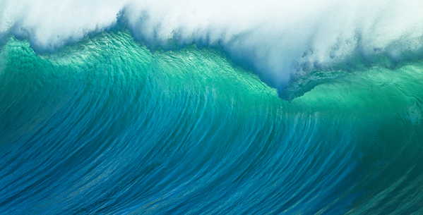 Brainshark Recognized in Forrester Wave for Sales Enablement Automation