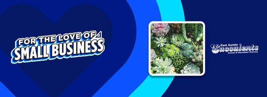 East Austin Succulents Blossoms with BigCommerce - The BigCommerce Blog