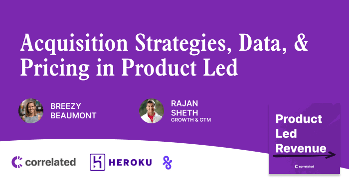 Acquisition Strategies, Data, and Pricing in Product Led | Rajan Sheth, Hypergrowth & Ex-Growth at Heroku | Correlated Podcast