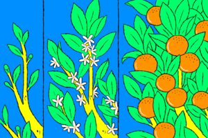 How Agencies Can Increase Agility and Collaboration