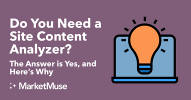 Do You Need a Site Content Analyzer? The Answer is Yes, and Here's Why
