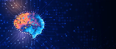 Anatomy of an Email: Elements All Email Campaigns Should Include