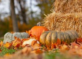 21+ Free and Effective October Marketing Ideas for Small Businesses