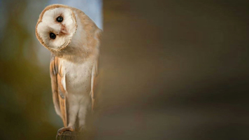 5 ways to improve email subject lines • VBOUT