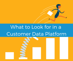 What to look for in a Customer Data Platform | Lytics Decision Engine CDP for Marketers