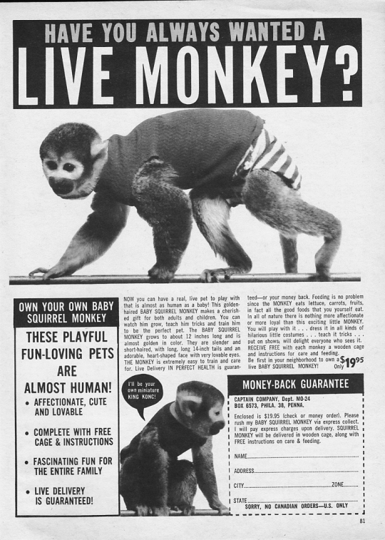 Yes I want a live monkey! - Swipe File