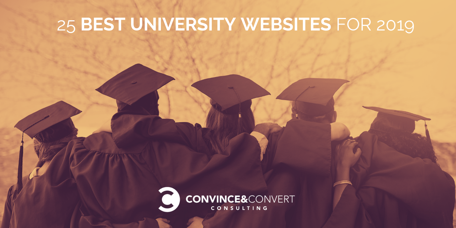 25 Best University Websites for 2019