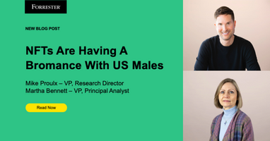 NFTs Are Having A Bromance With US Males