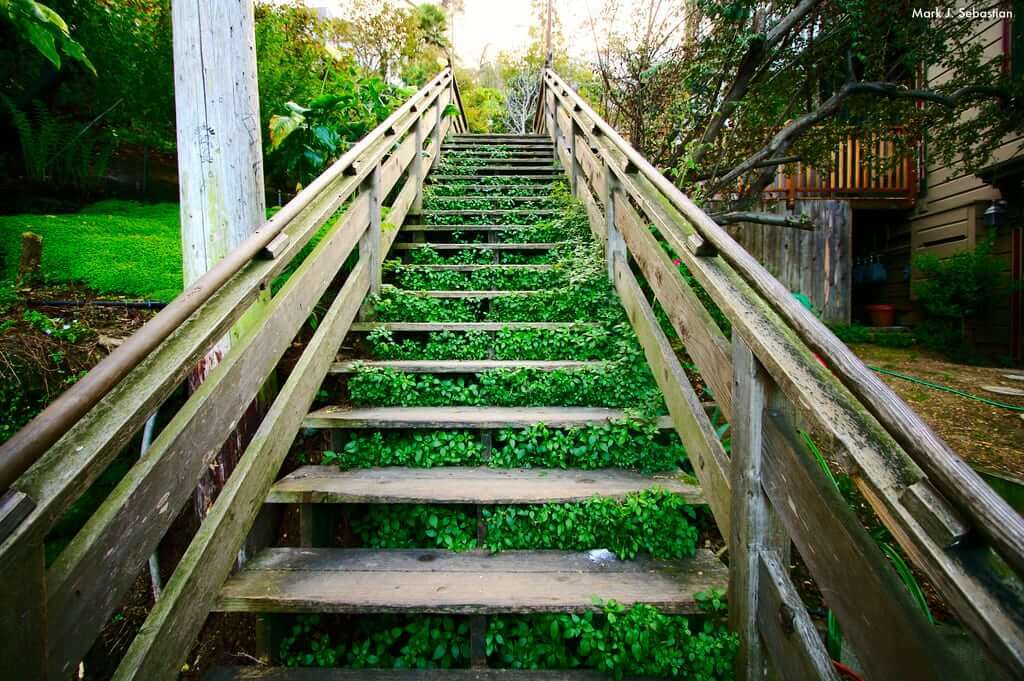 11 Steps to Your Social Media Success | Nimble Blog