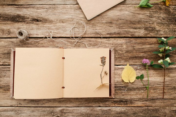 Beautiful Poetry Brought to You By Spam Email | SendGrid