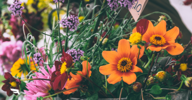 Social Media Calendar: August Events to Know.