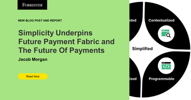 Simplicity Underpins Future Payment Fabric And The Future Of Payments