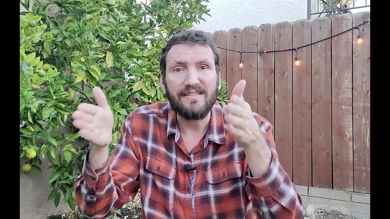 7. One Conversation - Bonus