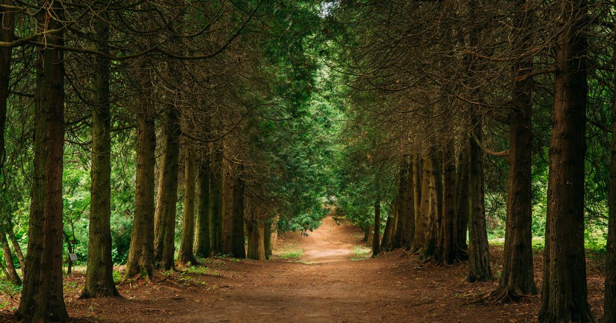 The Path to Product Management | UserTesting Blog