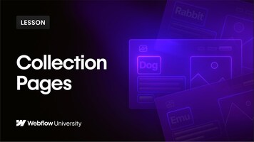 Build & design Collection Pages - Webflow tutorial