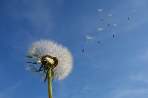 The Death of Customer Proposals. Stop Sending Proposals and Win More Sales