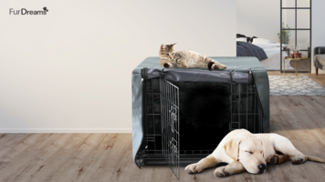 How Perpetua helped Keplin Group drive a more than 11x increase in total sales on Amazon