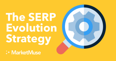 The SERP Evolution Strategy
