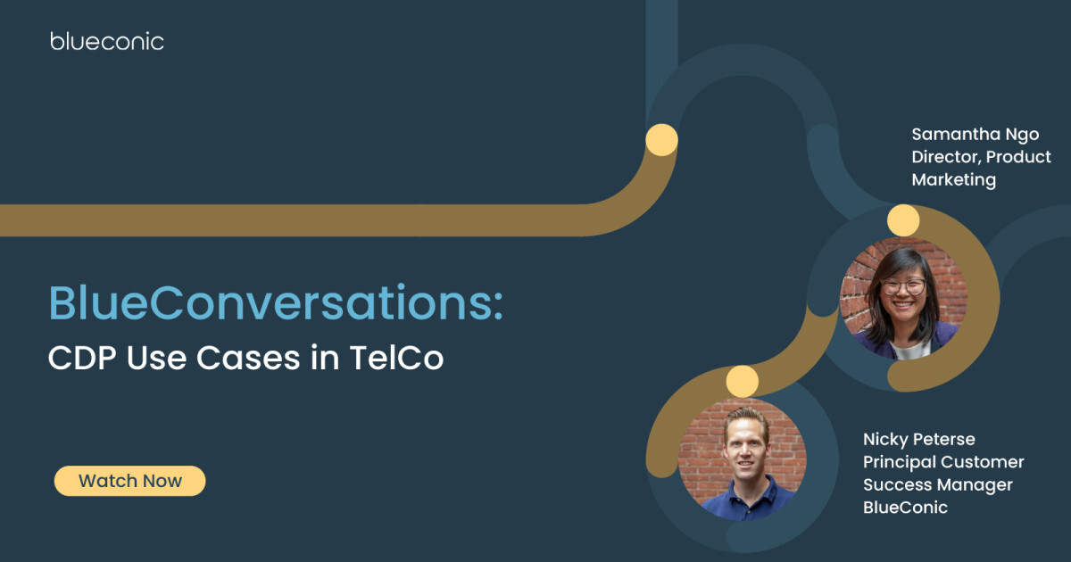 BlueConversations: CDP Use Cases in Telecom
