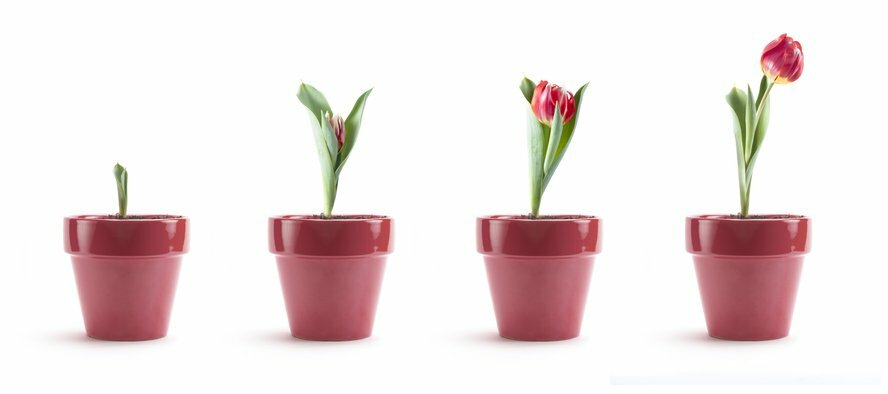 Email Evolution Conference Sessions