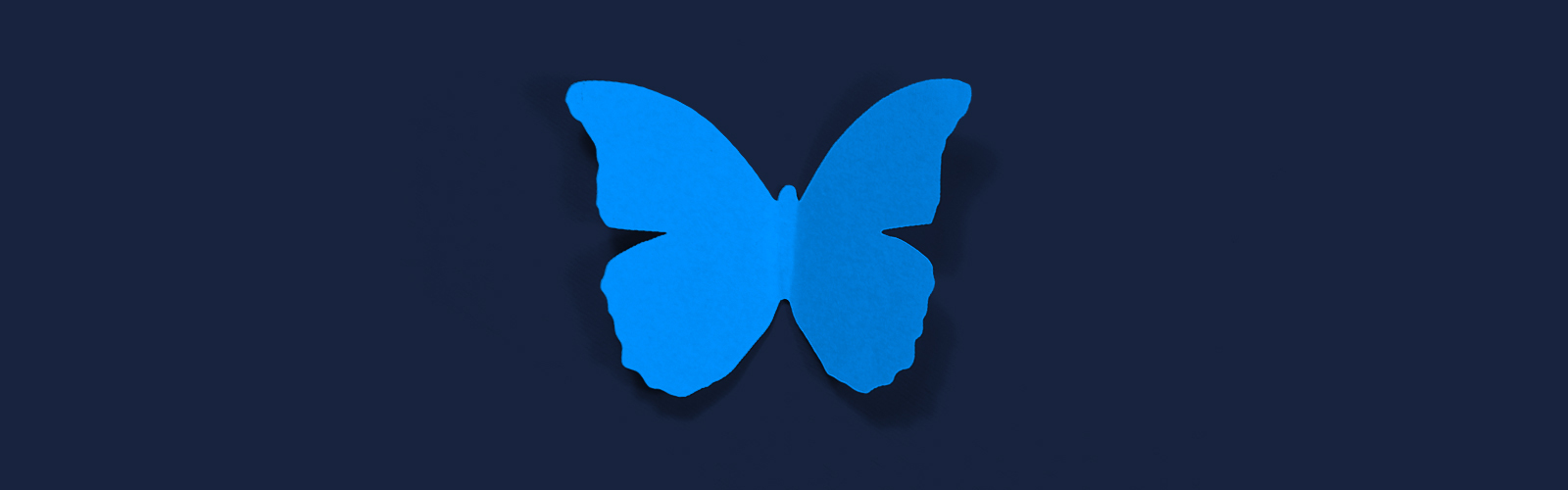 Turning an Idea Into a Purposeful Mission