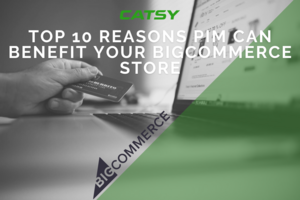 PIM BigCommerce Integration: 10 Reasons They Work Seamlessly