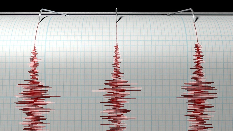 Local Businesses Take Advantage of Earthquake 2K11