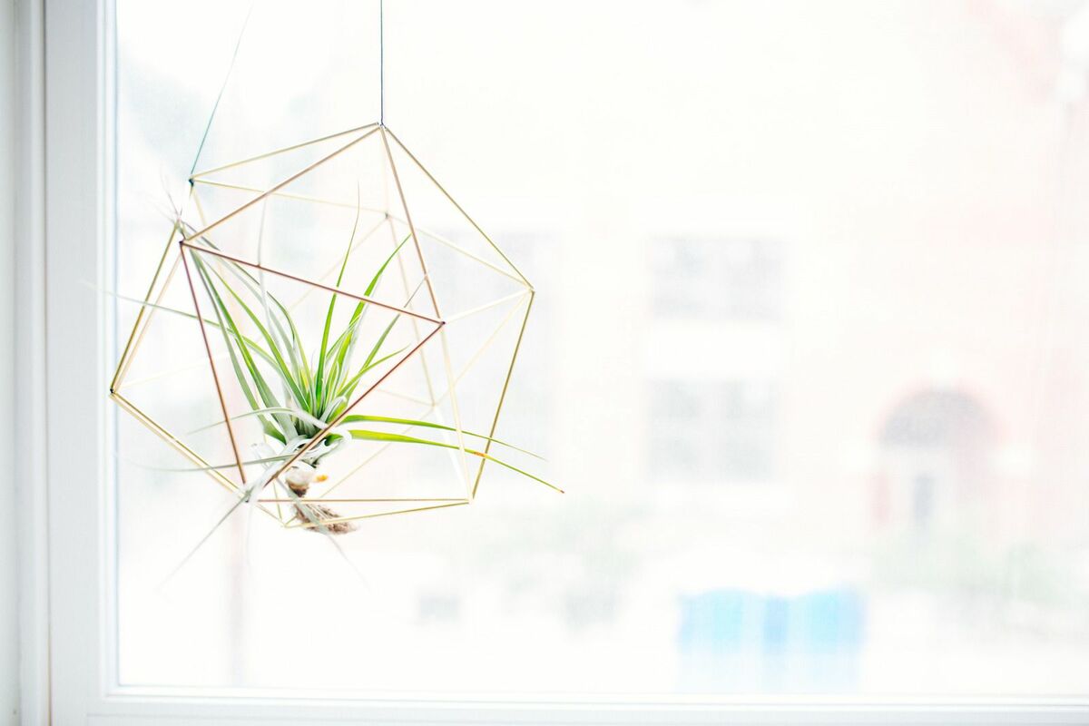 Entrepreneurs: Let Your Dream Grow Alongside Your Journey